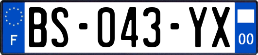 BS-043-YX