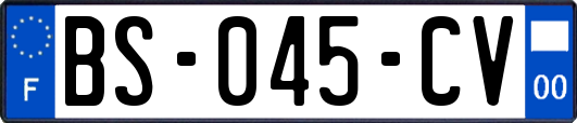 BS-045-CV