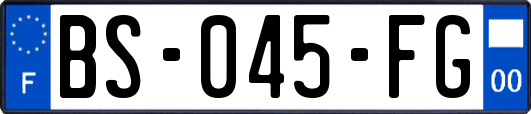 BS-045-FG