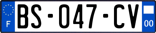 BS-047-CV