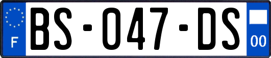 BS-047-DS