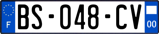 BS-048-CV