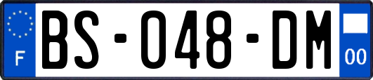 BS-048-DM