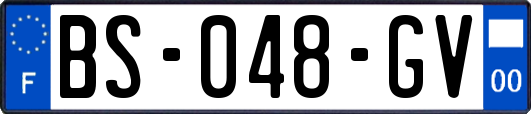 BS-048-GV