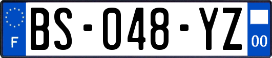 BS-048-YZ