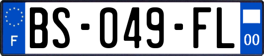 BS-049-FL