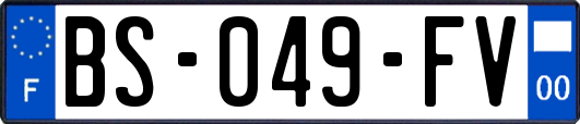 BS-049-FV