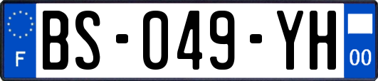 BS-049-YH