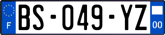 BS-049-YZ