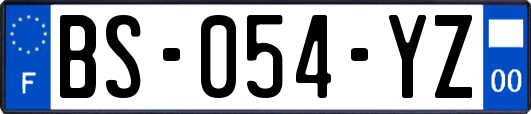 BS-054-YZ