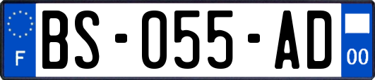 BS-055-AD