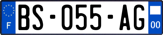 BS-055-AG