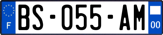 BS-055-AM