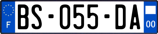BS-055-DA