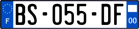 BS-055-DF