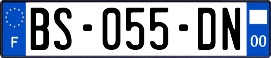 BS-055-DN