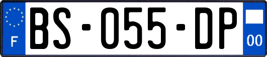 BS-055-DP