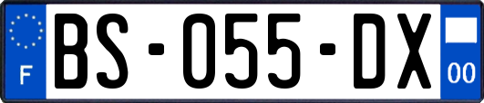 BS-055-DX