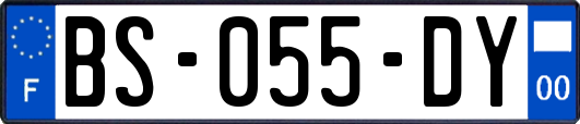 BS-055-DY