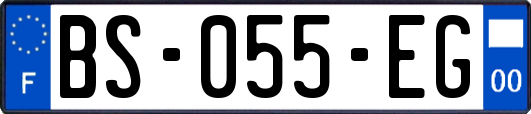 BS-055-EG