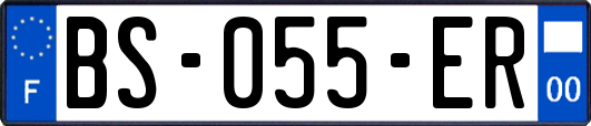 BS-055-ER