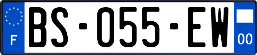 BS-055-EW