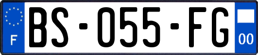 BS-055-FG