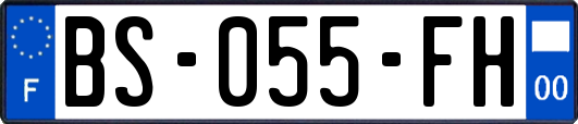 BS-055-FH