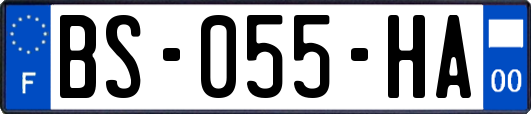 BS-055-HA