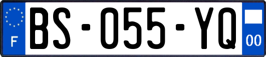 BS-055-YQ