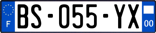 BS-055-YX