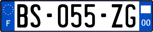 BS-055-ZG
