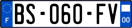 BS-060-FV