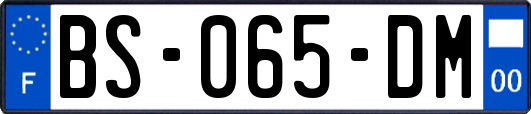 BS-065-DM