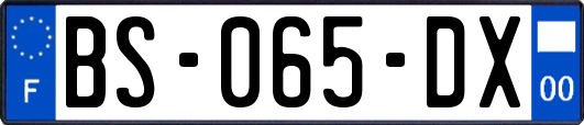 BS-065-DX