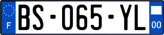 BS-065-YL