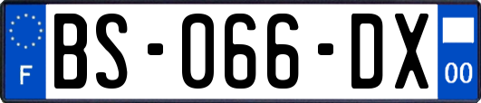 BS-066-DX