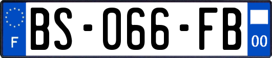 BS-066-FB