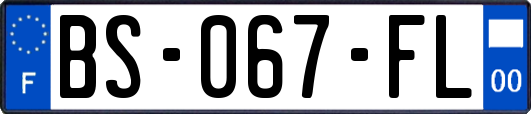 BS-067-FL