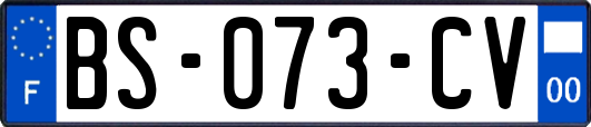 BS-073-CV