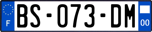 BS-073-DM