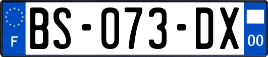 BS-073-DX