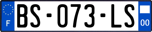 BS-073-LS