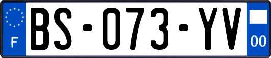 BS-073-YV