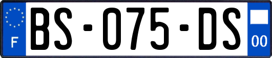 BS-075-DS