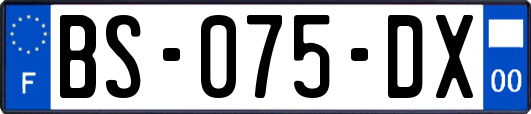 BS-075-DX