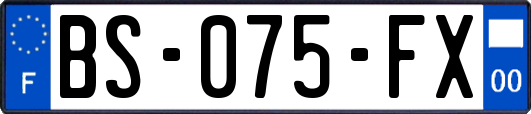BS-075-FX