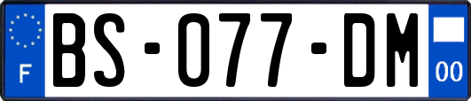 BS-077-DM