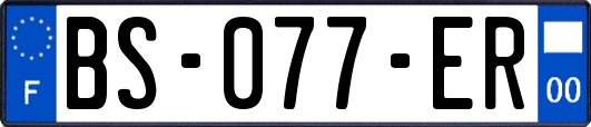 BS-077-ER