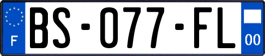 BS-077-FL